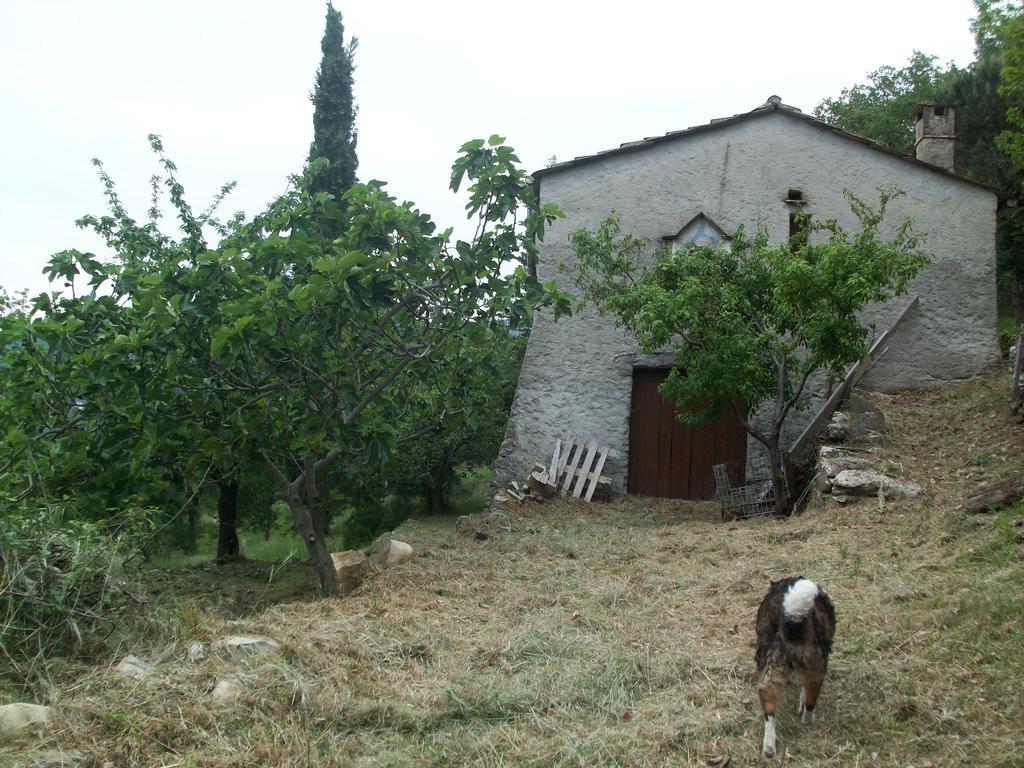 Piccolo Rifugio Nel Verde Chiusavecchia Exterior foto